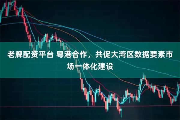 老牌配资平台 粤港合作，共促大湾区数据要素市场一体化建设