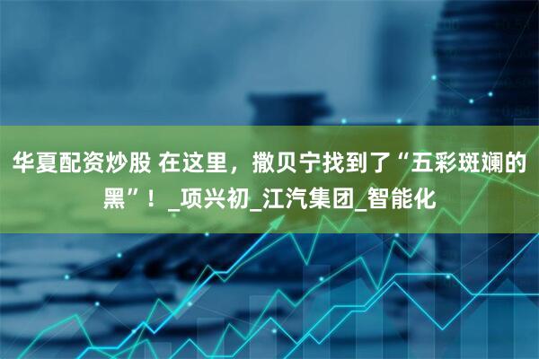 华夏配资炒股 在这里，撒贝宁找到了“五彩斑斓的黑”！_项兴初_江汽集团_智能化