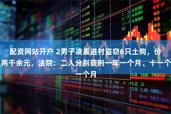 配资网站开户 2男子凌晨进村盗窃6只土狗，价值两千余元，法院：二人分别获刑一年一个月、十一个月
